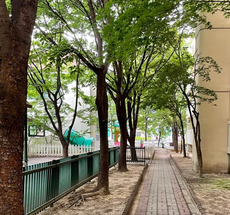 도봉숲어린이집 이미지