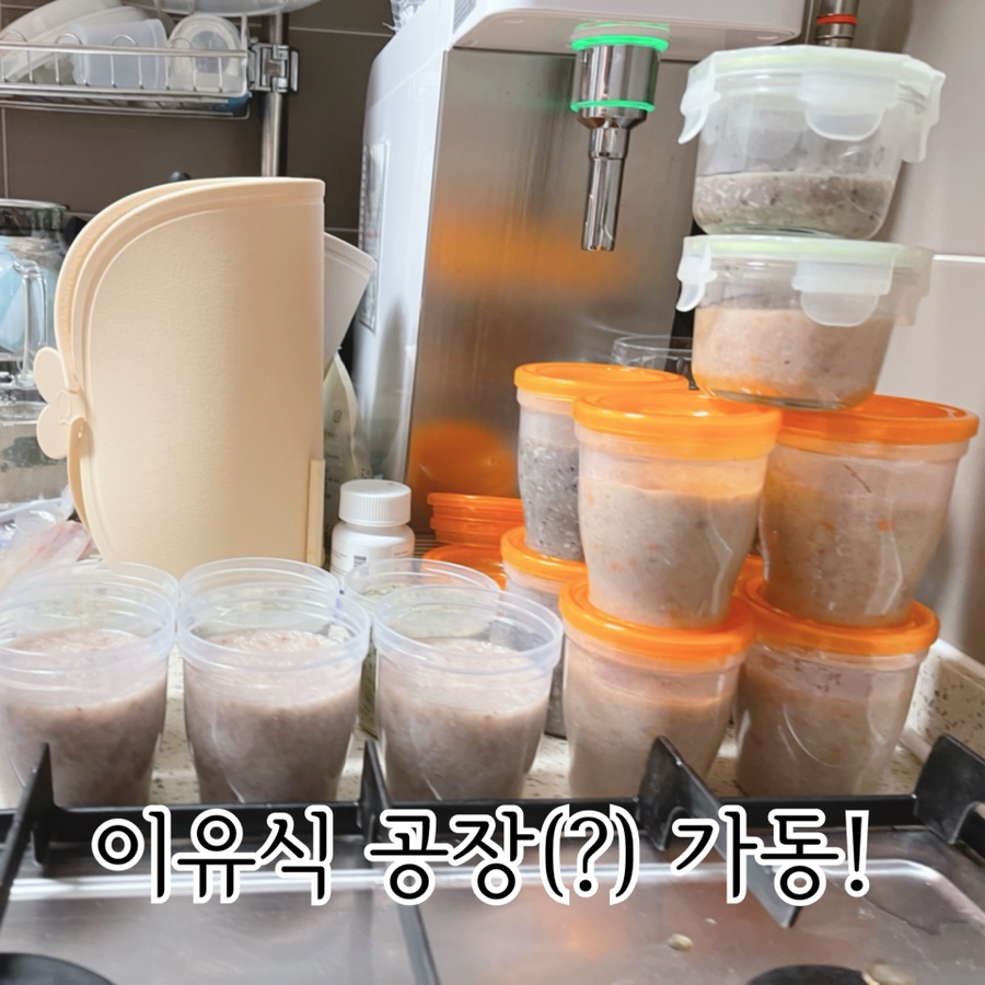 소고배 이미지