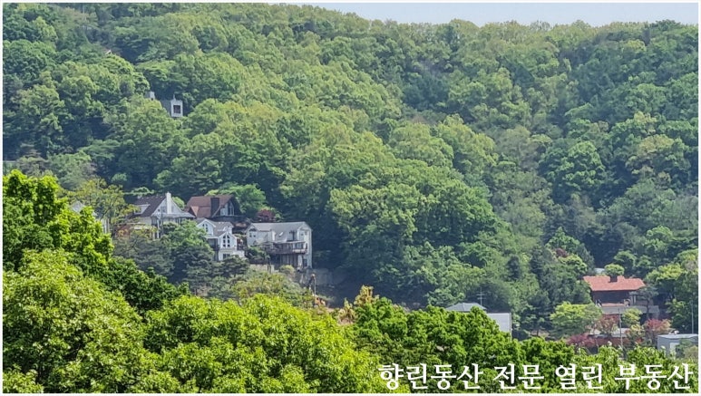 숲속토목설계사무소 이미지