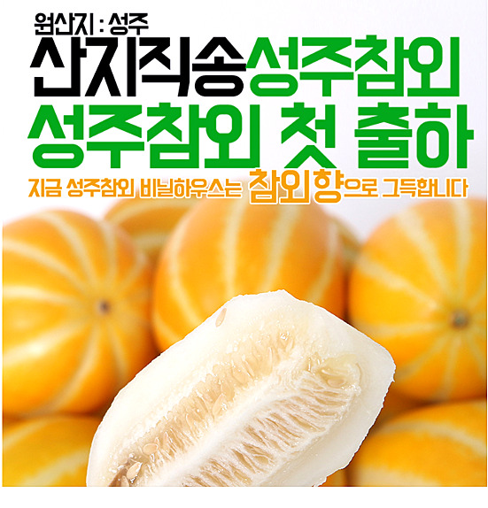참앤 이미지