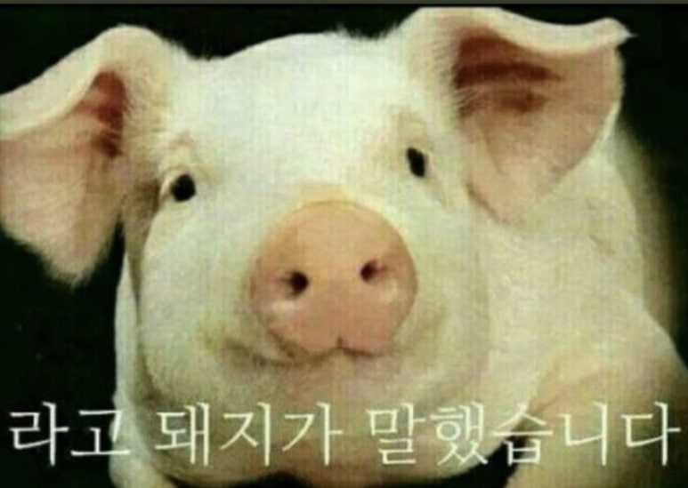 잭슨피자 이미지