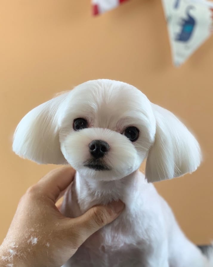 미용타운 이미지