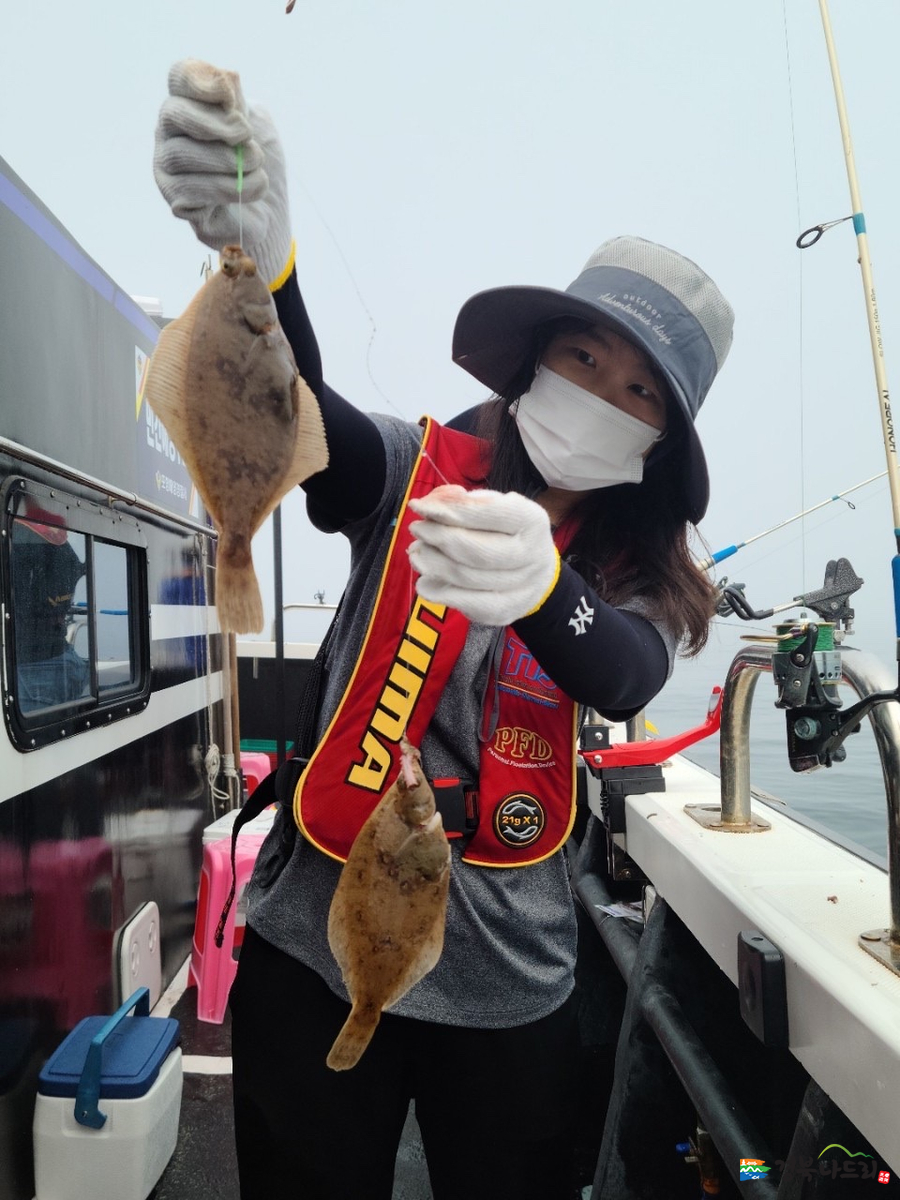 포항가자미 이미지