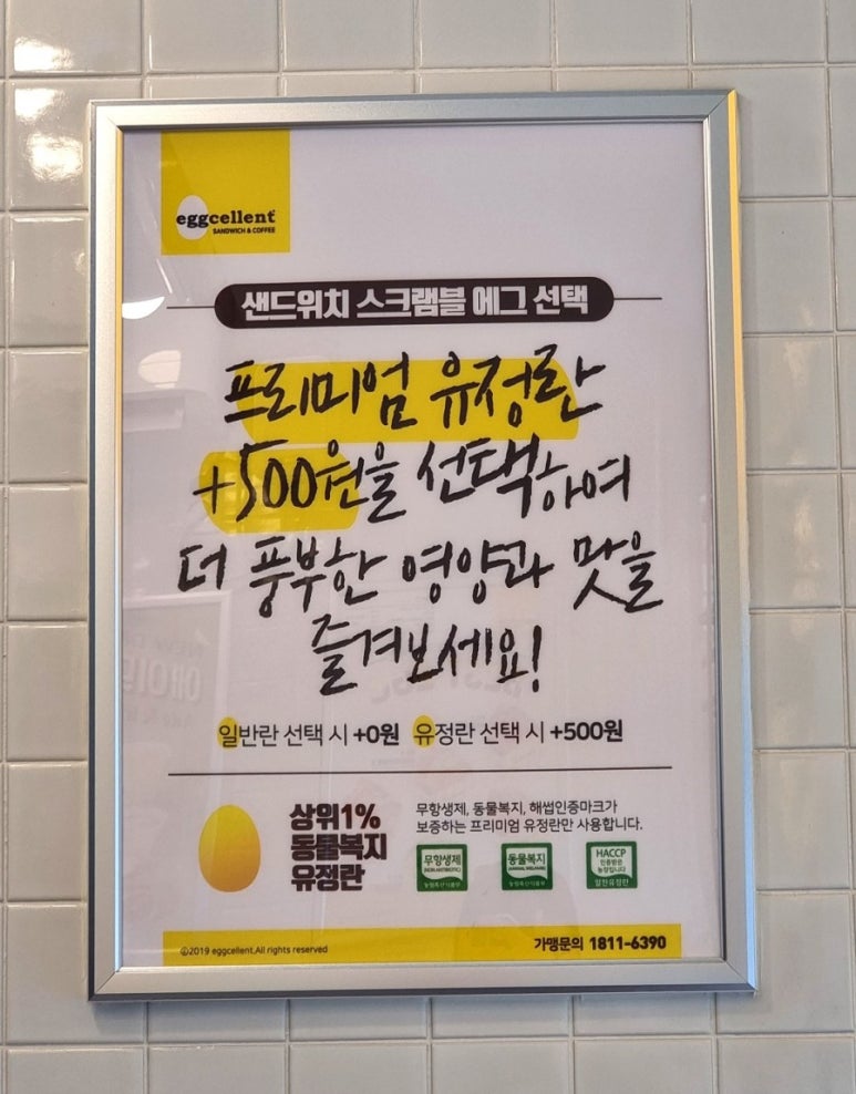 에그셀런트부천성모 이미지
