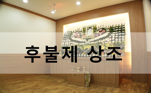 상조할인마트 이미지