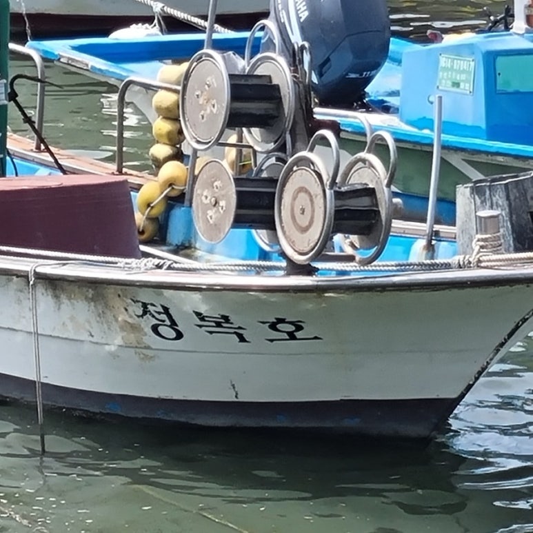 정복호 이미지