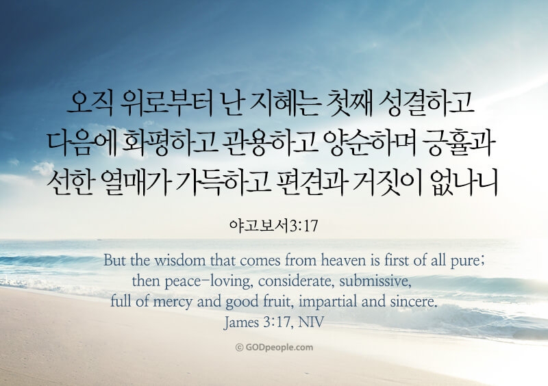아이와이즈주 이미지