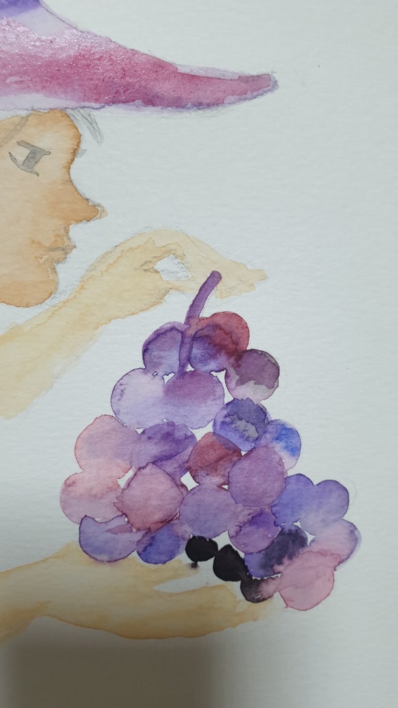 보라사 이미지
