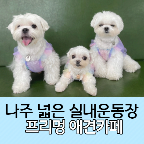 견상낙원 이미지