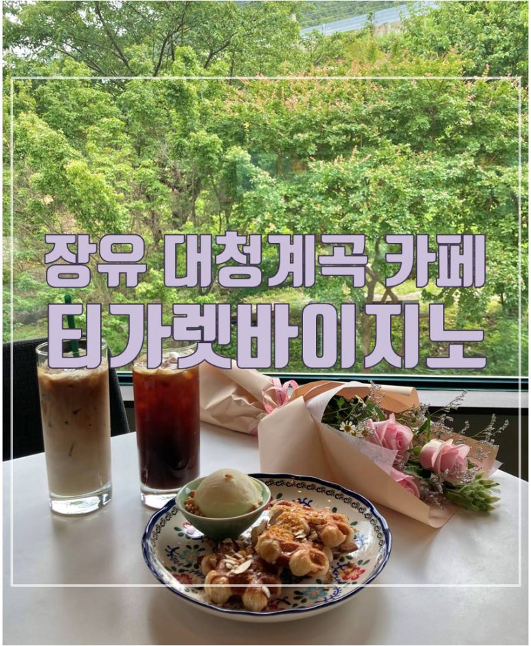 티가렛바이지노 이미지