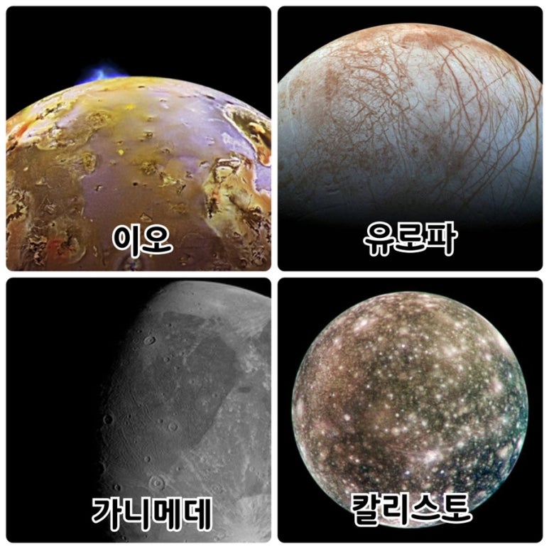 제우스볼 이미지