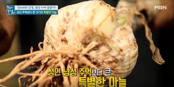 코끼리샐러드 이미지