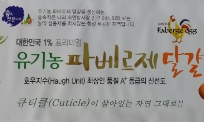 숲속작은나라 이미지