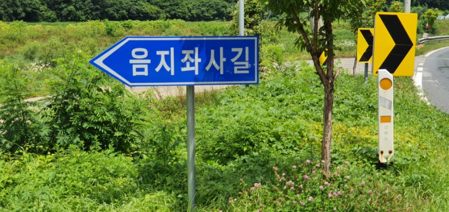 천년약초 이미지
