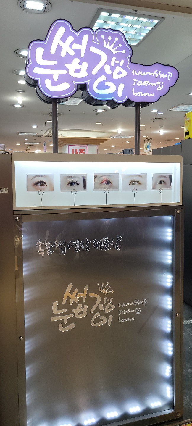눈썹쟁이 이미지