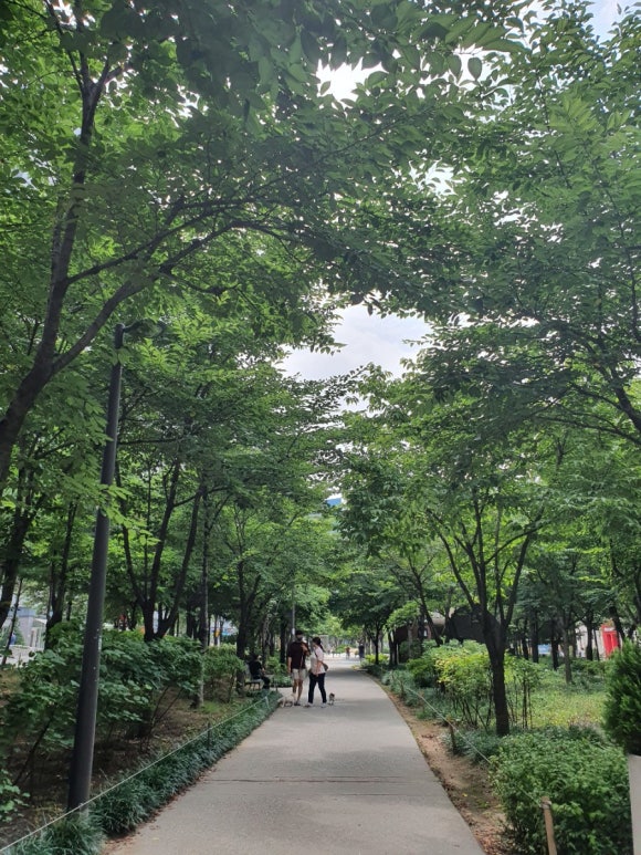 숲길 이미지
