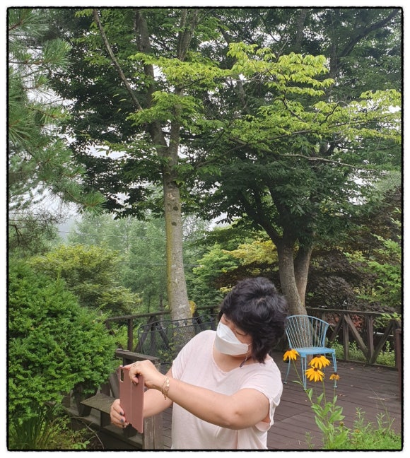 카페그리심 이미지