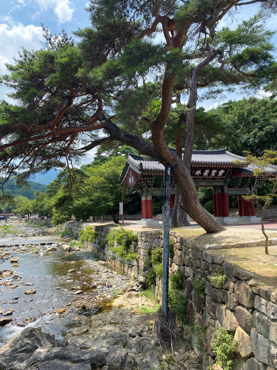 육림한우숯불식당 이미지