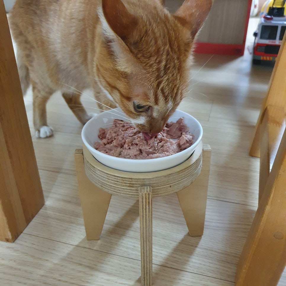 호랭푸드 이미지