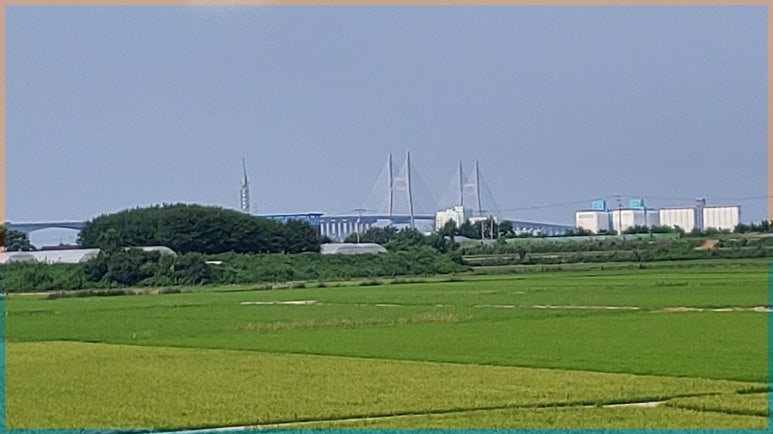 대전TG(진입) 이미지
