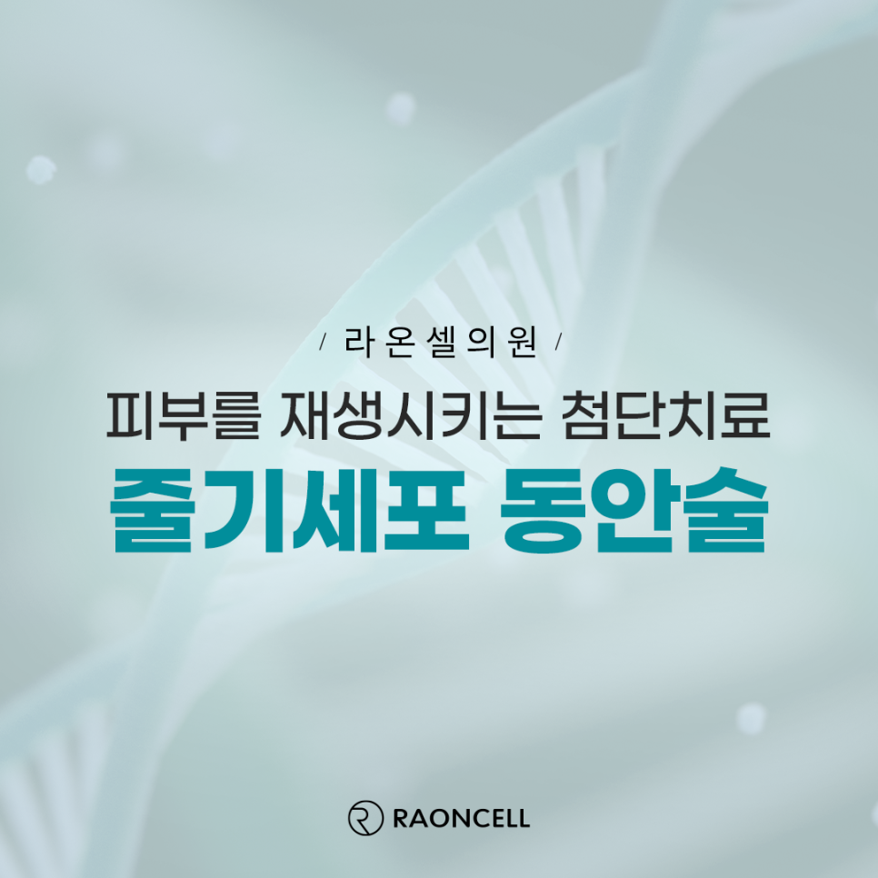 라온셀의원 이미지