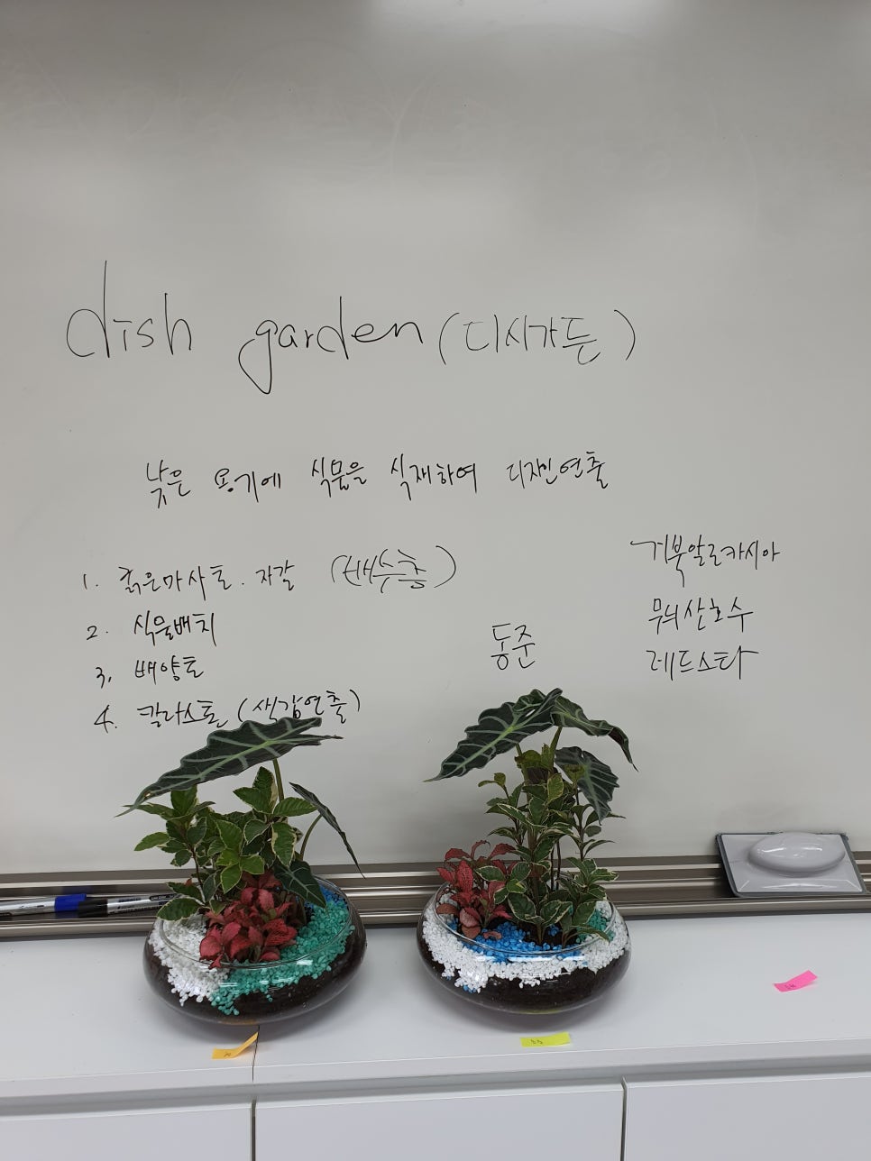 푸른꽃방 이미지