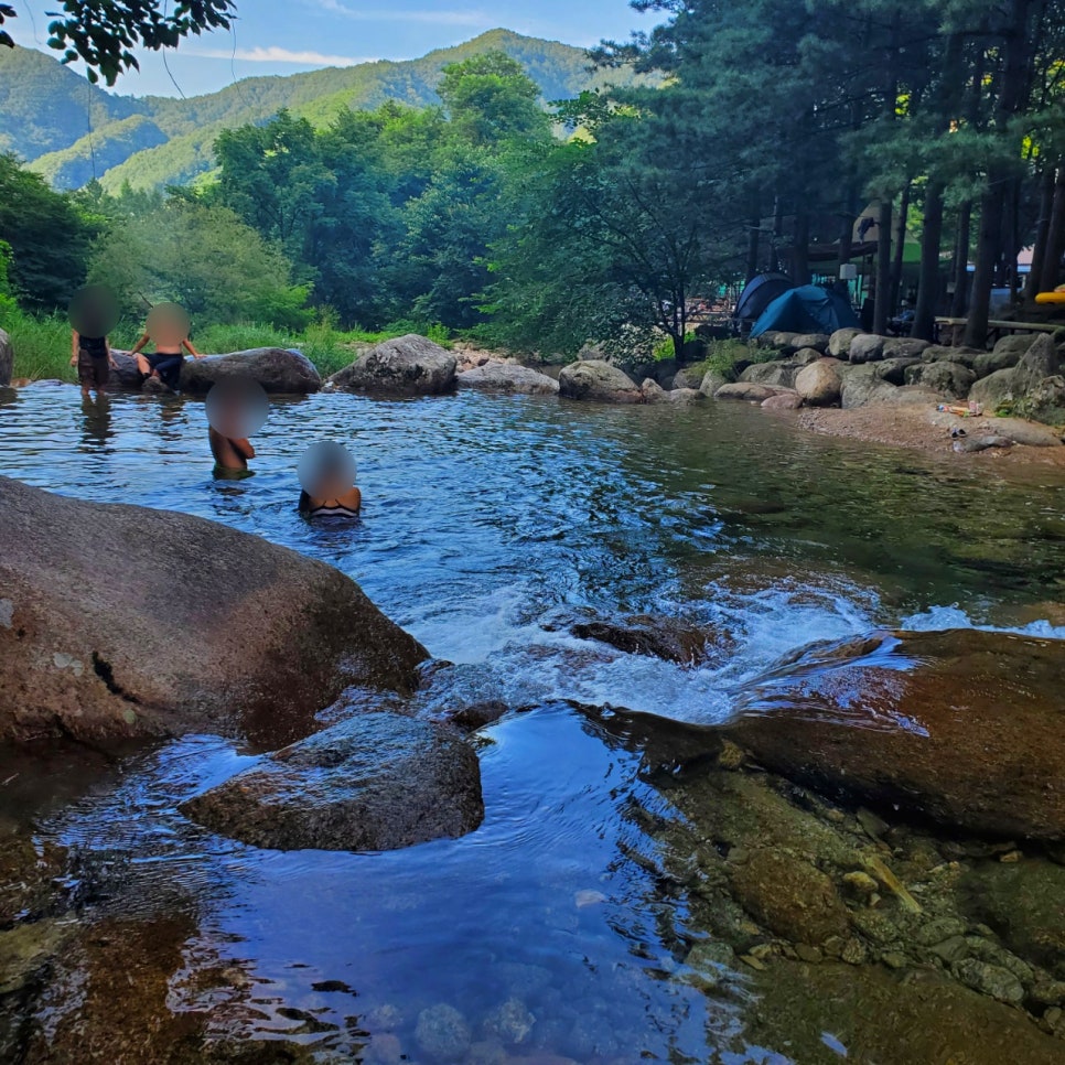 단양천동계곡캠핑장;그린농원 이미지