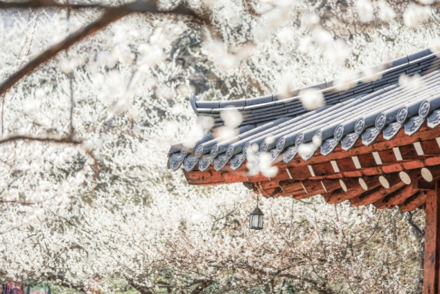 주형건설(주) 이미지