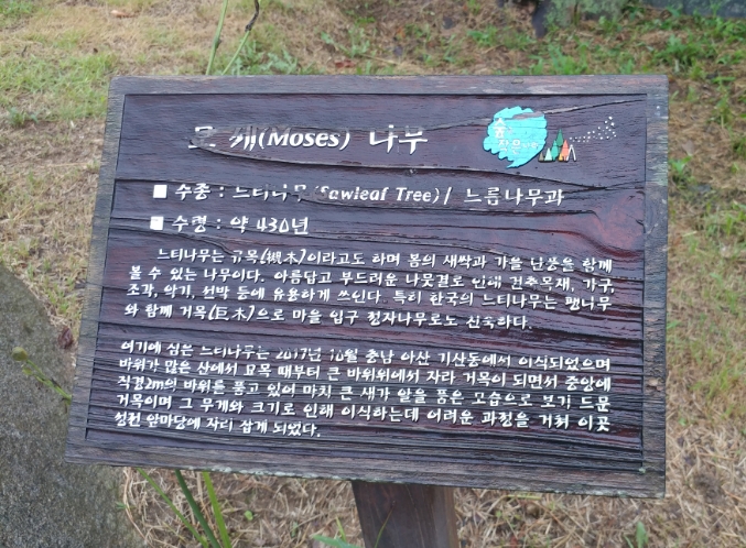 숲속작은나라 이미지