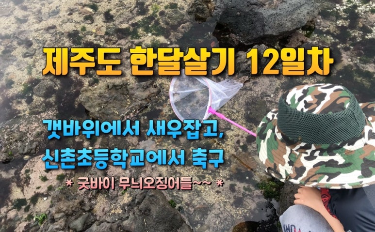 선희밥집 이미지