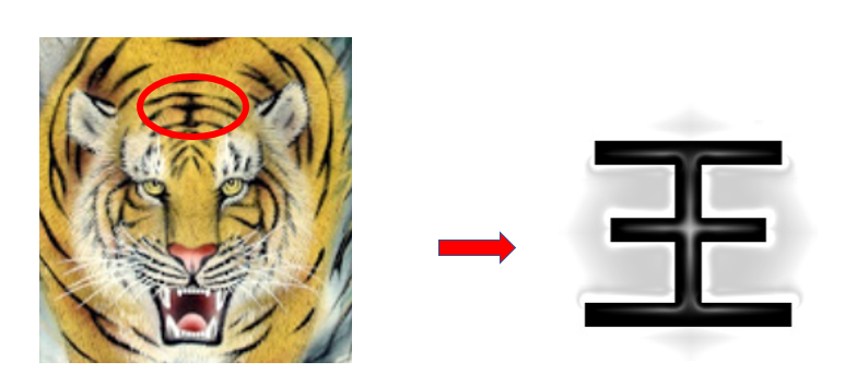 인지망 이미지