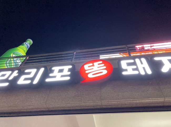 만리포똥돼지 이미지