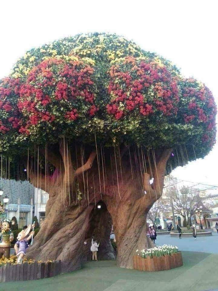 꿈꾸는다락방 이미지