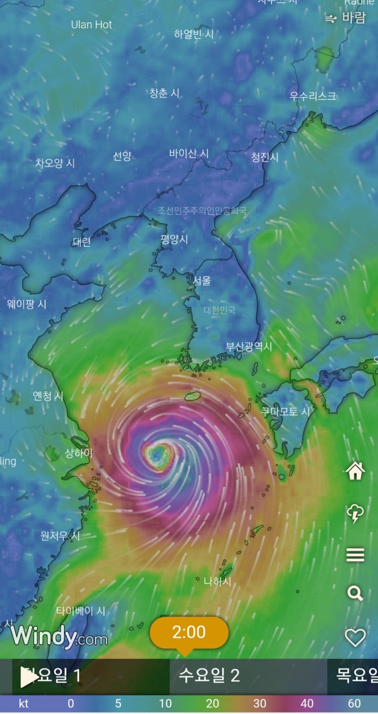 진도상회 이미지