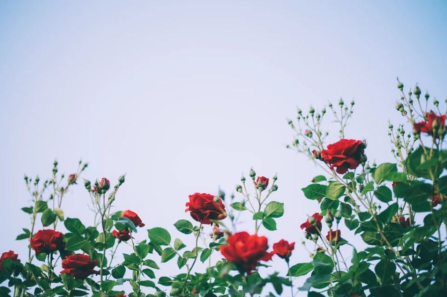 상상애드디자인 이미지