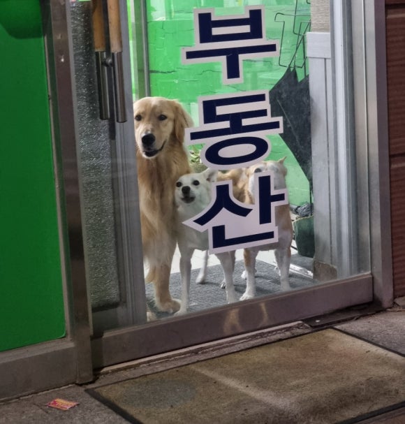 햅쌀만꼬마김밥전문 이미지