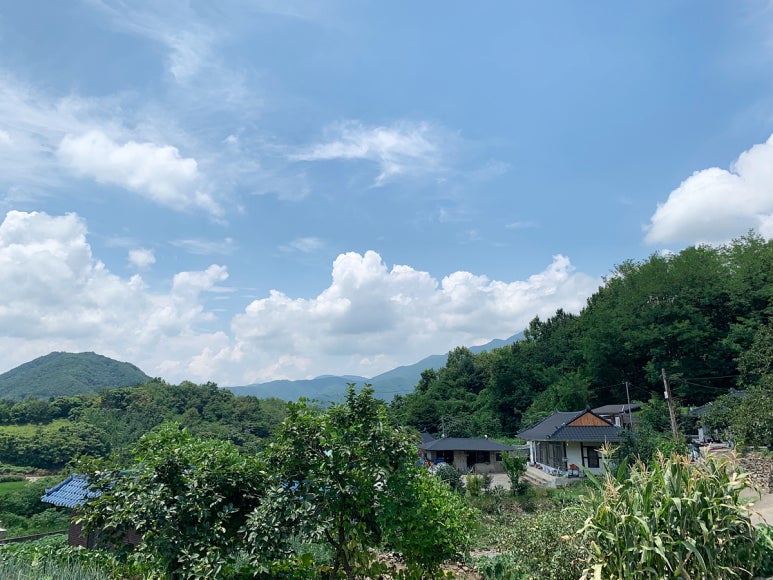 합천명품토종흑돼지 이미지