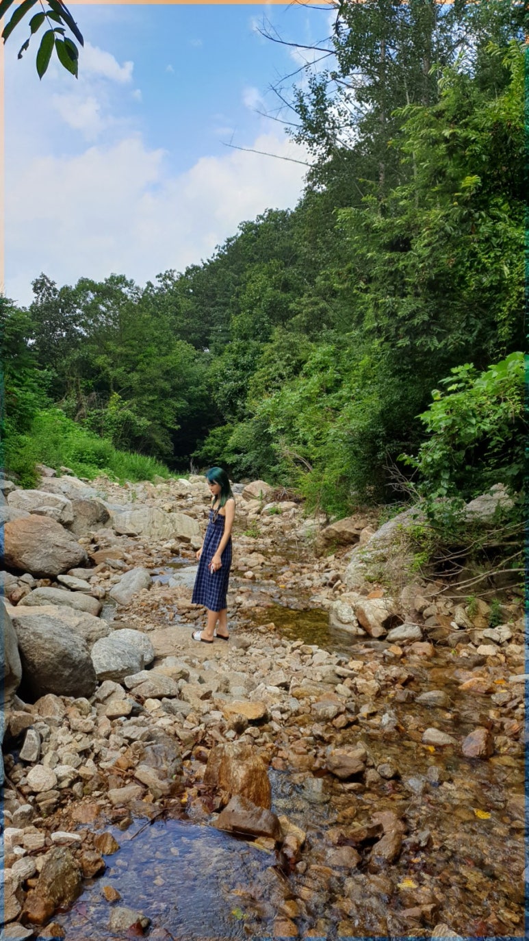 호명산캠프 이미지