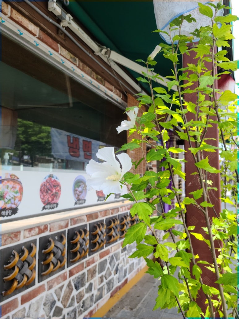 꼼빠도르제과점 이미지