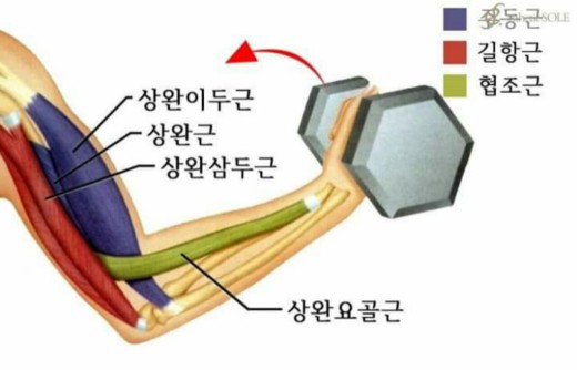 (주)사이팔 이미지