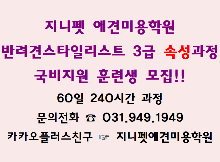 지니펫애견미용학원 이미지