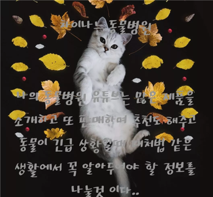 만사형통 이미지