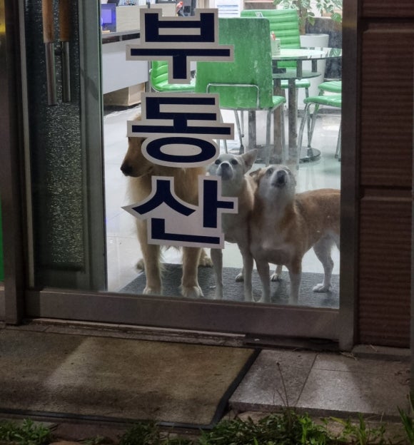 햅쌀만꼬마김밥전문 이미지