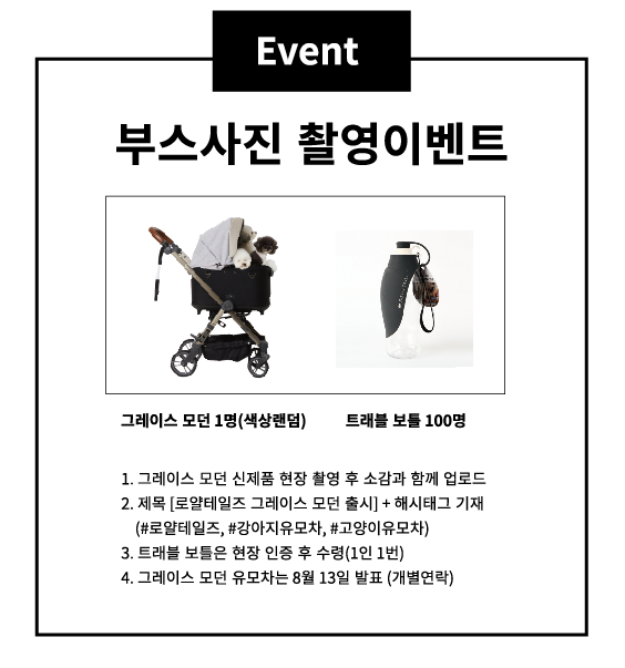 모던케이 이미지