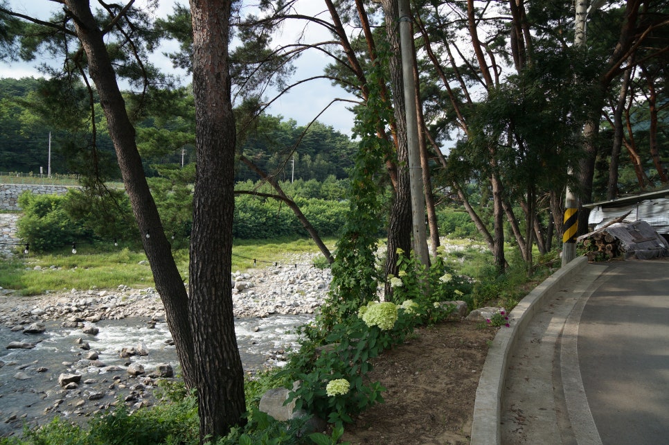 내린천솔밭힐링캠핑장 이미지