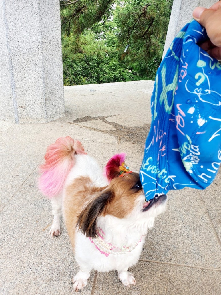 토리국수 이미지