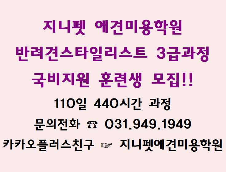 지니펫애견미용학원 이미지