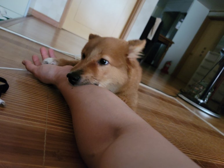 동이정육점 이미지