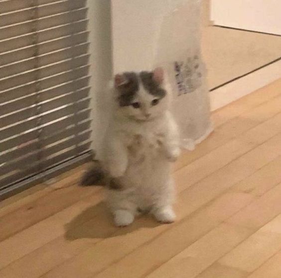 고기공방 이미지