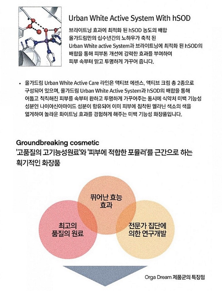 코슈아트 이미지